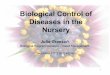 Biological Control of Diseases in the Nursery...Biological Control of Diseases in the Nursery Julie Graesch Biological Program Manager – Insect Management December 17 th 1:55-2:45pm