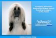 Assessing the Genetic Health of the Afghan Hound: Breeding … · 2020-02-11 · Popularity of the Afghan Hound exploded after 1960. From about 1,000 dogs produced yearly after WW