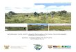 WORKING FOR WETLANDS REHABILITATION PROGRAMME, …...WORKING FOR WETLANDS REHABILITATION PROGRAMME, KWAZULU-NATAL BASIC ASSESSMENT REPORT OCTOBER 2019. Project 113223 File WfW KZN_2019_Draft