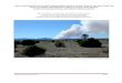 FUELS TREATMENT EFFECTIVENESS MONITORING REPORT ...€¦ · Fred von Bonin, Fuels Analyst, BIA Southwest Region . Hal Luedtke, Fire Ecologist, BIA Southwest/Navajo Regions . William