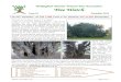 Wokingham District Veteran Tree Association Tree …battle of Delville Wood, one of the many fierce battles along the Somme, the whole wood was shattered, with only one tree surviving,