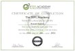ACADEMY THE WHOLE WORLDS A POSSIBILITY CERTIFICATE OF COMPLETION The TEFL …educate.russellsquires.co.uk/.../uploads/2017/09/TEFL.pdf · 2017-09-24 · CERTIFICATE OF COMPLETION