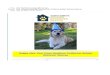 Fwd: January Newsletter from Southern California Golden ... · Golden Retrievers on our radar. We can't do this alone and appreciate your constant support. Together we will save another