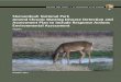 SHENANDOAH NATIONAL PARK - Wikimedia · 10/14/2014  · The National Park Service (NPS) proposes to amend the 2013 approved Chronic Wasting Disease Detection / Assessment Plan, Shenandoah