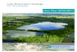 Lake Restoration Strategy for The Broads Action Plan 2010/2011 · generated by the Broads Authority, Environment Agency, Natural England and a number of commercial partners. The Action