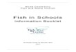 2007 Fish in Schools handbook - McKinnons Creek …...2 North Canterbury Fish and Game Council Fish in Schools Project 1.0 Chinook salmon Oncorhynchus tshawytscha Chinook salmon are