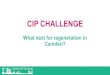 CIP Sian Berry presentation - CIP Challengecipchallenge.org.uk/CIP_Sian_Berry_presentation.pdf · The CIP Challenge •Cross-and non-party group of residents wanting to scrutinise
