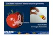 QuEChERS Validation Method for acidic pesticides · CRL-SRM Community Reference Laboratory for Pesticide Residues using Single Residue Methods CRL Workshop Valencia Spain 26. –