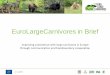 EuroLargeCarnivores in Brief - European Commission€¦ · 12.11.2018 EuroLargeCarnivors – Project Presentation 5 < 24 36 species living in Europe, all of them protected under the