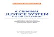 A CRIMINAL JUSTICE SYSTEM€¦ · Thank you for the opportunity to review the criminal justice system in British Columbia over the past six months. The system faces great challenges,