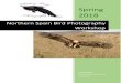 Northern Spain Bird Photography Workshopimage6.photobiz.com/1945/20170512080324_232523.pdf · Cantabrian Mountains. Springtime is an awesome time for bird photography in Spain. The