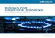 BIOGAS FOR DOMESTIC COOKING - indiaenvironmentportal · 2017. 12. 14. · 6 BIOGAS FOR DOMESTIC COOKING Biogas is a modern form of bioenergy that can be produced through anaerobic