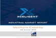 INDUSTRIAL MARKET REPORT - AIR CRE · Xceligent is a leading provider of verified commercial real estate information which assists real estate professionals, appraisers, owners, investors
