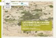 LES FORÊTS DE CASSINI€¦ · Identification des forêts de Cassini dans la matrice forestière du Var. Une comparaison entre la carte de Cassini et l’Inventaire Forestier National