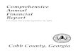 Comprehensive Annual Financial Reportfinance.cobbcountyga.gov/downloads/CAFR2005.pdf · Management’s discussion and analysis (MD&A) immediately follows the independent auditor’s
