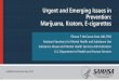 Urgent and Emerging Issues in Prevention:Marijuana, Kratom, E-cigarettes · 2019. 3. 12. · Urgent and Emerging Issues in Prevention: Marijuana, Kratom, E-cigarettes Elinore F. McCance-Katz,