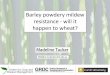 Barley powdery mildew resistance - will it happen to wheat?ccdm.com.au/wp-content/uploads/2016/03/Madeling-Tucker... · 2016. 3. 3. · • Mutations in barley powdery mildew found
