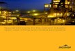 Special lubricants for the cement industry, open cast …jfi.com.pe/index_archivos/cement.pdf04 05 In the cement and lime industry, as well as in mining and mineral processing, machines