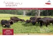 eNEWS - wagyu.org - June 2014.pdf · The two countries will resume working-level bilat-eral TPP talks from the middle of this week. The participants will prepare multiple options