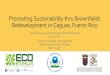 Promoting Sustainability thru Brownfields …3ra Cumbre para el Desarrollo de Brownfields en Puerto Rico Center for Creative Land Recycling Centro Gubernamental Minillas May 10, 2017