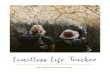 Limitless Life Tracker - Dani Johnson · 5. Desire and Destiny: You have something planted inside of you that pushes you forward. It’s the desire to be who you were created to be