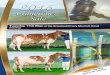 This year’s Conference Sale semen lots · IVF sexed embryos of buyers choice. 50% Ayr. Sire stack – Chatter x Eagan x Bomber x Pearl Reef x Cherub No introduction is needed here