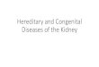 Hereditary and Congenital Diseases of the Kidney...Hereditary and Congenital Diseases of the Kidney Classification • Monogenic disorders • ADPKD • ARPKD • Alport syndrome •