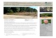 Undeveloped Recreational Land for Sale near …...TAXES: $108.95 TAX YEAR: 2015 TILLALE: 0 Acres TIMERED: 50 Acres PASTURED: 0 Acres Undeveloped Recreational Land for Sale near Steelville