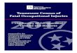 Tennessee Census of 2017 - TN.govBuilding equipment contractors 2382 3.0 1.8 0.9 1.1 Electrical contractors and other wiring installation contractors 23821 2.5 1.6 0.7 0.9 Plumbing,