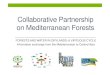 Collaborative Partnership for Mediterranean Forests (CPMF) · climate change: what kind of redd + for mediterranean forests’’ Component 1 - Production of data and developing tools