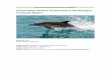 Conservation Actions of Cetaceans in the Georgian ... · reduce cetacean’s mortality inside fishing nets. The by-catch is the major threat for cetaceans and Georgia is not an exception