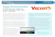 Egg Essentials - multitech.ro Study - Velasco.pdf · egg packages must have expiration information on the . packages. ... Velasco Eggs has Moba packaging . equipment with two packing