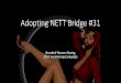 Adopting NETT Bridge #31 - WordPress.com · 2016. 12. 12. · 2017 Fundraising Campaign. BWR History On the NETT. ... expendables 1 $400.00 $400.00 1/2" & 3/4" allthread, saw blades,