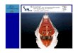 Forward Looking Statements - SAFE BULKERS · 2017. 10. 11. · This presentation contains forward-lookingstatements(asdefinedinSection27A ... involve known and unknown risks and are