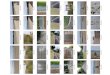 Contact sheet (35)€¦ · Title: Contact sheet (35) Author: Siobhan Created Date: 9/23/2018 3:43:52 PM