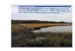 Front and back cover photos by Andrea Pickerell. · Front and back cover photos by Andrea Pickerell. Wetlands and Deepwater Habitats of Long Island, New York: Status 2004 - Results