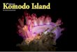 X-Ray Mag #75 | October 2016...awesome day. Day 2: Komodo Island Coral Garden. Continuing east we woke up to the island of Komodo and did our first dive at a site called Coral Garden