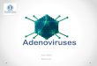 Adenoviruses - Genetics and Bioengineering• Adenoviruses are a group of common viruses that infect the lining of your eyes, airways and lungs, intestines, urinary tract, and nervous