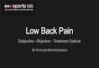 Low Back Pain Alli Ferris and Matt McCutcheon€¦ · To simplify low back pain and classification of low back pain to enable a more universal approach across practitioners To conduct