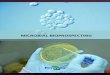 MICROBIAL BIOPROSPECTING - Embrapaainfo.cnptia.embrapa.br/digital/bitstream/item/137598/1/bioprospecc… · of the microbial biodiversity. Another me-thod that has been used by research