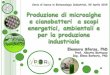 Definizione - biologia.unipd.it · Kinetic models Process simulation Economic and feasibility analisys Tests in real scale plants Collaboration with Italian companies. Respirometry