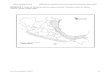 ITESM-Universidad de Cornell AS002 Estado de conservación … · 2016. 4. 28. · ITESM-Universidad de Cornell AS002 Estado de conservación actual del loro cabeza amarilla (Amazona