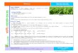 BR6 - Bangladesh Rice Knowledge Bankknowledgebank-brri.org/wp-content/uploads/2014/04/BR6.pdf · Title: BR6.cdr Author: NATP-112 Created Date: 10/18/2017 12:28:26 PM