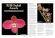 RHS Orchid Awards · 2016. 2. 22. · 42 March 2013 March 2013 43 RHS Orchid ... measured 13mm long. Annual RHS Awards 23 October 2012 The RHS Orchid Committee also decided the 