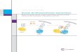 Switch On Protein-Protein Interactions - Takara Bio · 2020. 4. 18. · Switch On Protein-Protein Interactions Rapid and specific control of signal transduction pathways, protein