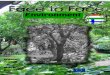 Face to Face - Sulinetkettannyelvu.sulinet.hu/comenius/environment.pdf · showing the beauty of them. The second topic is media. We will write about the ... We plan to examine the