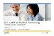 SAP HANA on POWER Technology - Status and Outlook · SAP HANA-based solution on IBM Power Systems servers IBM intention is not to offer it as an appliance, but in a flexible form