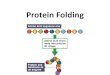 Protein Folding€¦ · Protein Folding •Proteins have unique 3-dimensional shapes created by the twisting or folding of one or more polypeptide chains •The structure of a protein