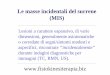 Le masse incidentali del surrene (MIS)fisiokinesiterapia-news.it/NewDownload/surrenaliche2.pdf · Somministrazione di 37 MBq (1 mCi) di 131131II-norcolesterolo per via norcolesterolo