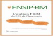 L’option PIBMfnsip.fr/wordpress/wp-content/uploads/2018/07/... · Hospitalière – Pratique et Recherche (PH-PR) et Pharmacie Industrielle et Biomédicale (PIBM). Le choix de l’option
